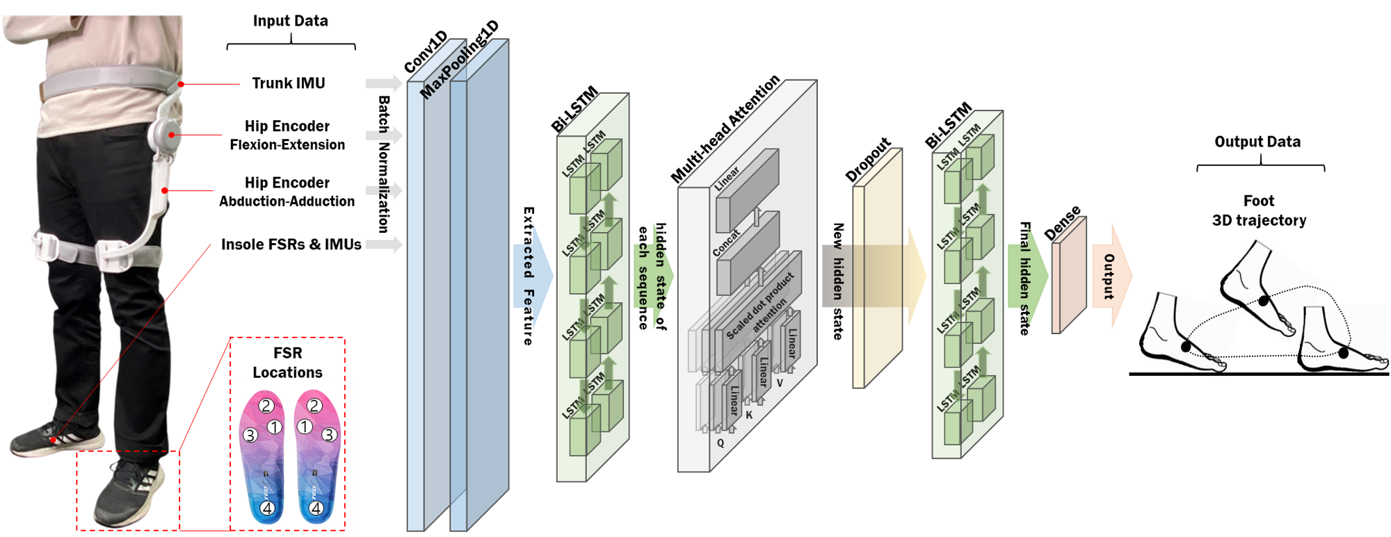 intro image